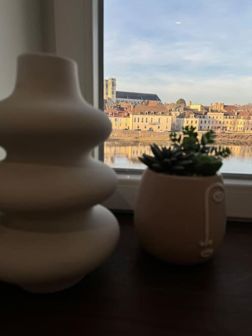 Appartement Avec Magnifique Vue Sur La Saone Et Son Balcon シャロン・シュル・ソーヌ エクステリア 写真